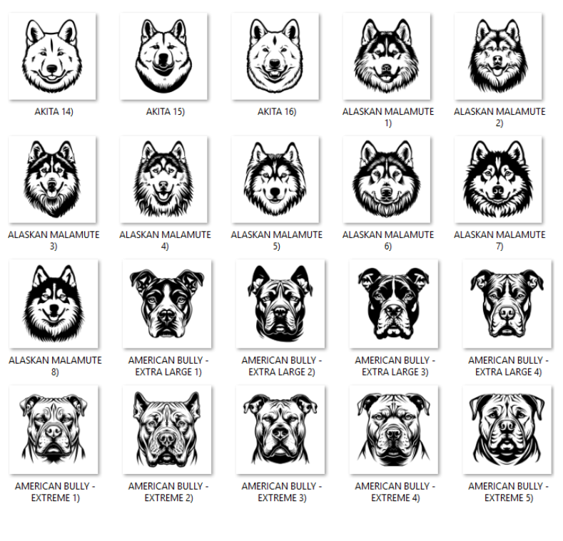 Illustrations of various dog breeds with labels