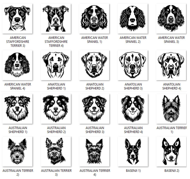 Illustrations of various dog breeds with labels