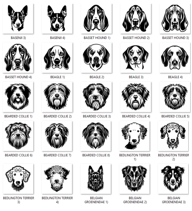 Illustrations of various dog breeds with labels