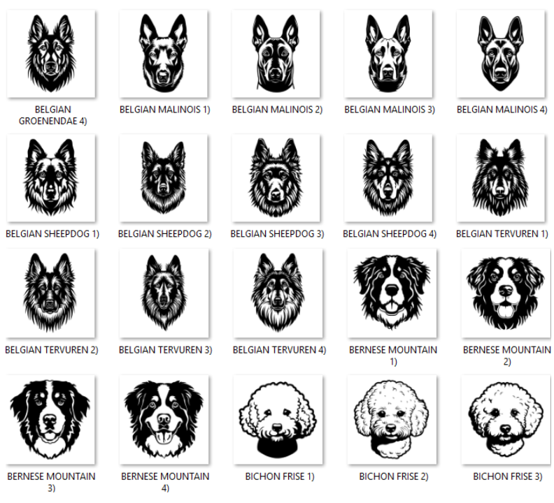 Illustrations of various dog breeds with labels