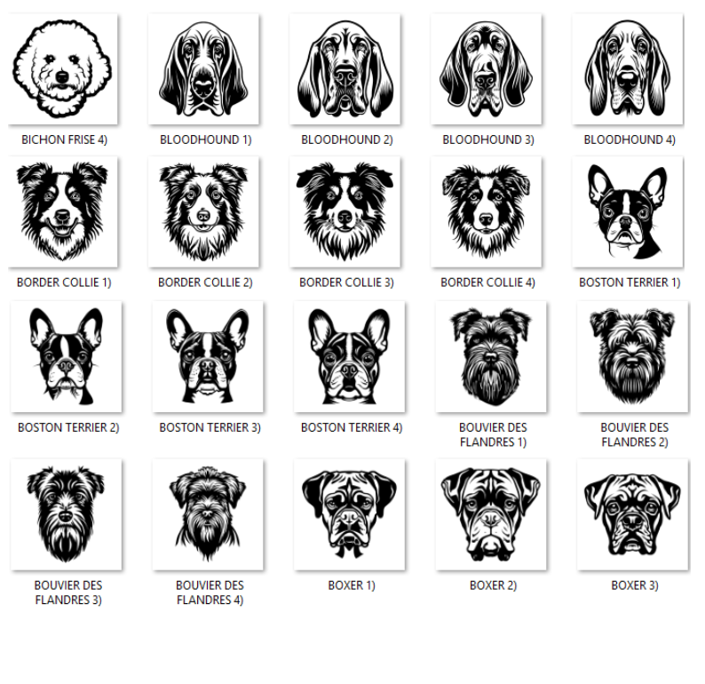 Illustrations of various dog breeds with labels