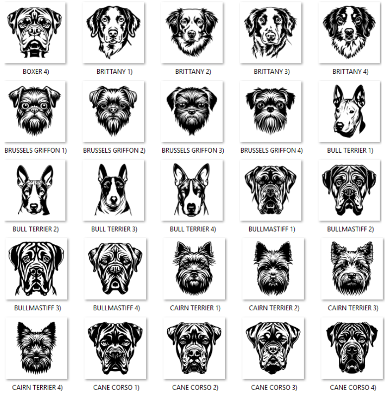 Illustrations of various dog breeds with labels