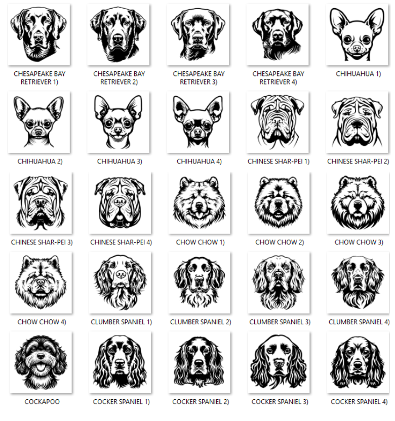 Illustrations of various dog breeds with labels