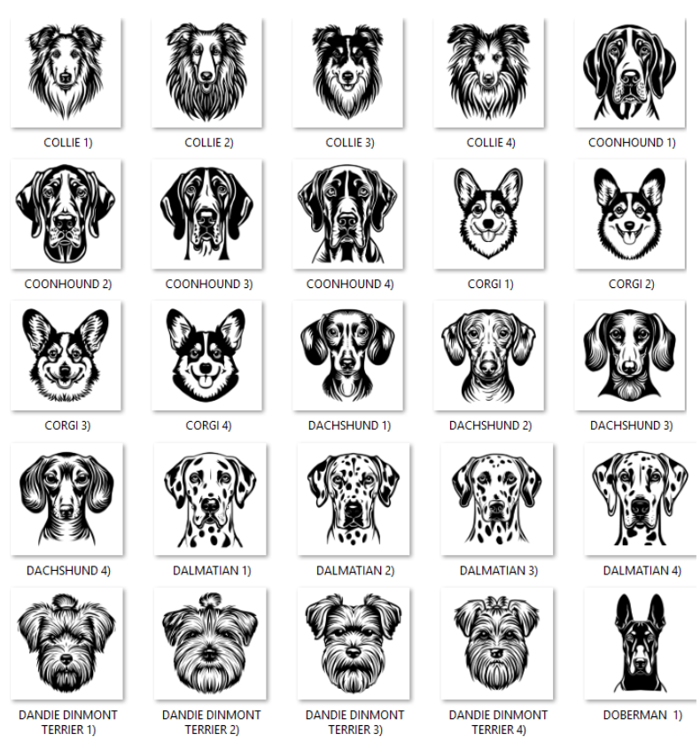 Illustrations of various dog breeds with labels