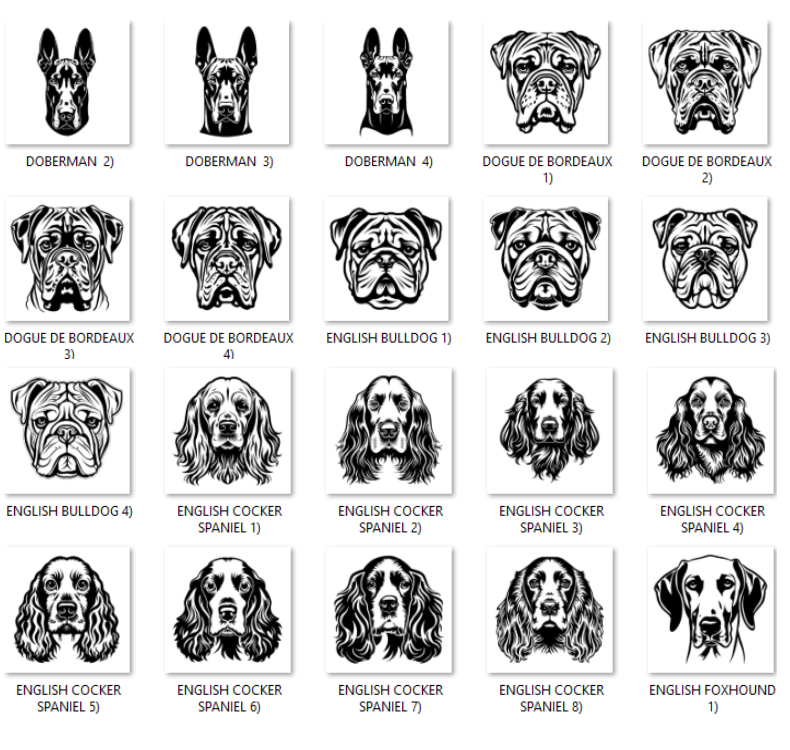 Illustrations of various dog breeds with labels