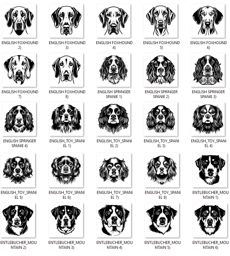 Illustrations of various dog breeds with labels