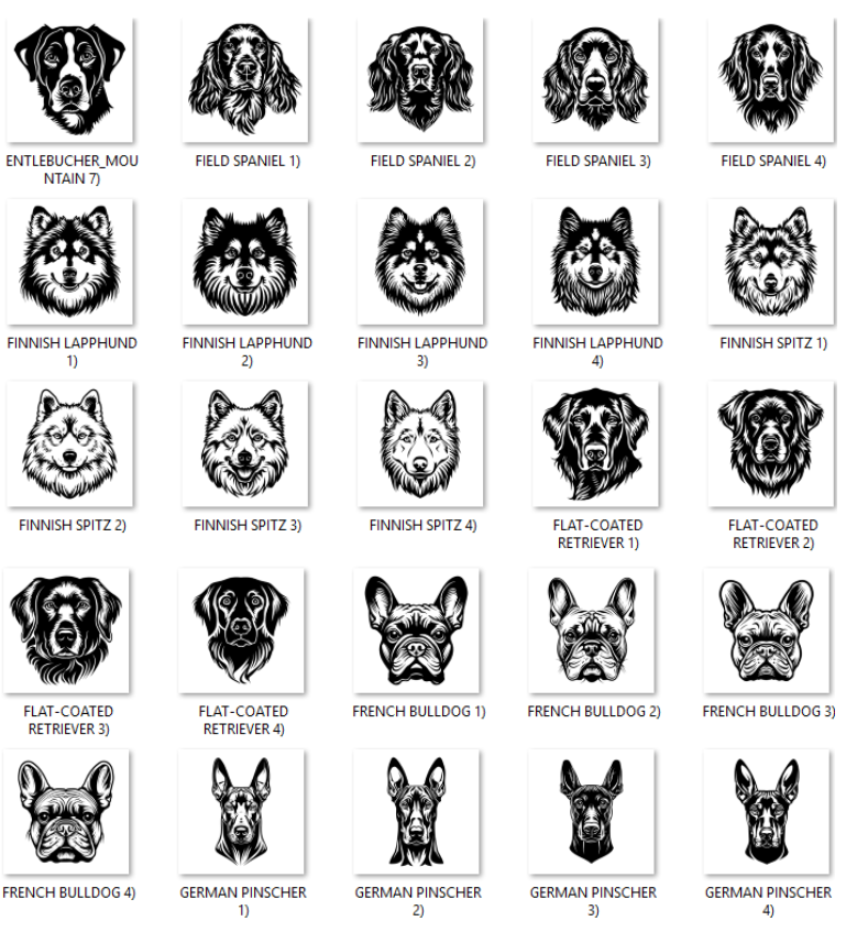 Illustrations of various dog breeds with labels