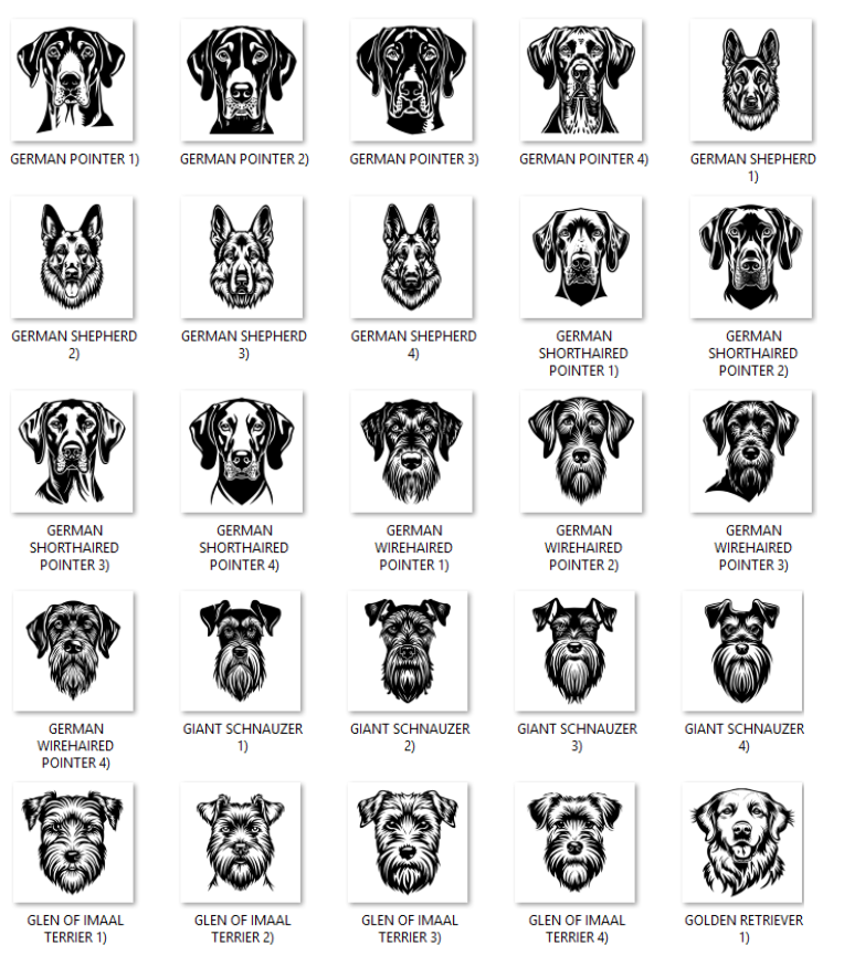 Illustrations of various dog breeds with labels