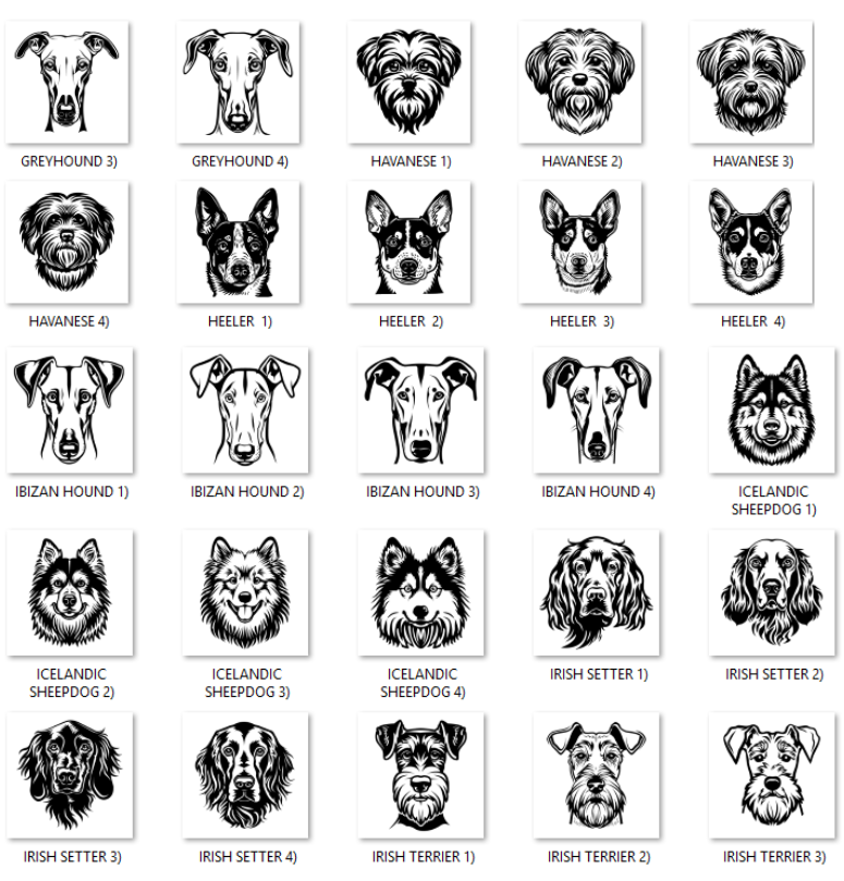 Illustrations of various dog breeds with labels