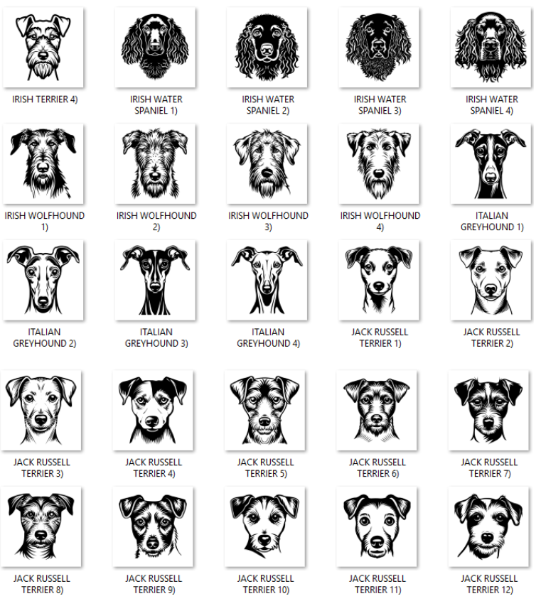 Illustrations of various dog breeds with labels
