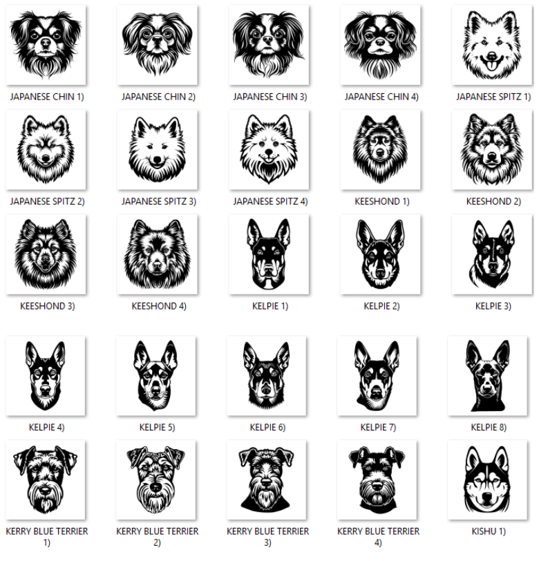 Illustrations of various dog breeds with labels