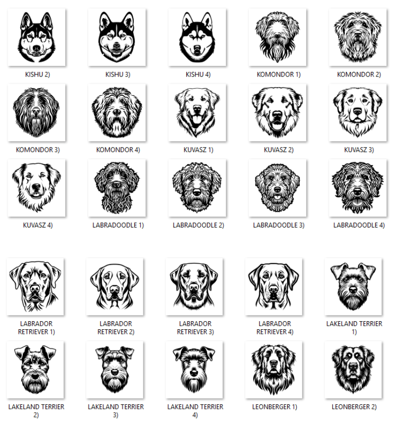 Illustrations of various dog breeds with labels