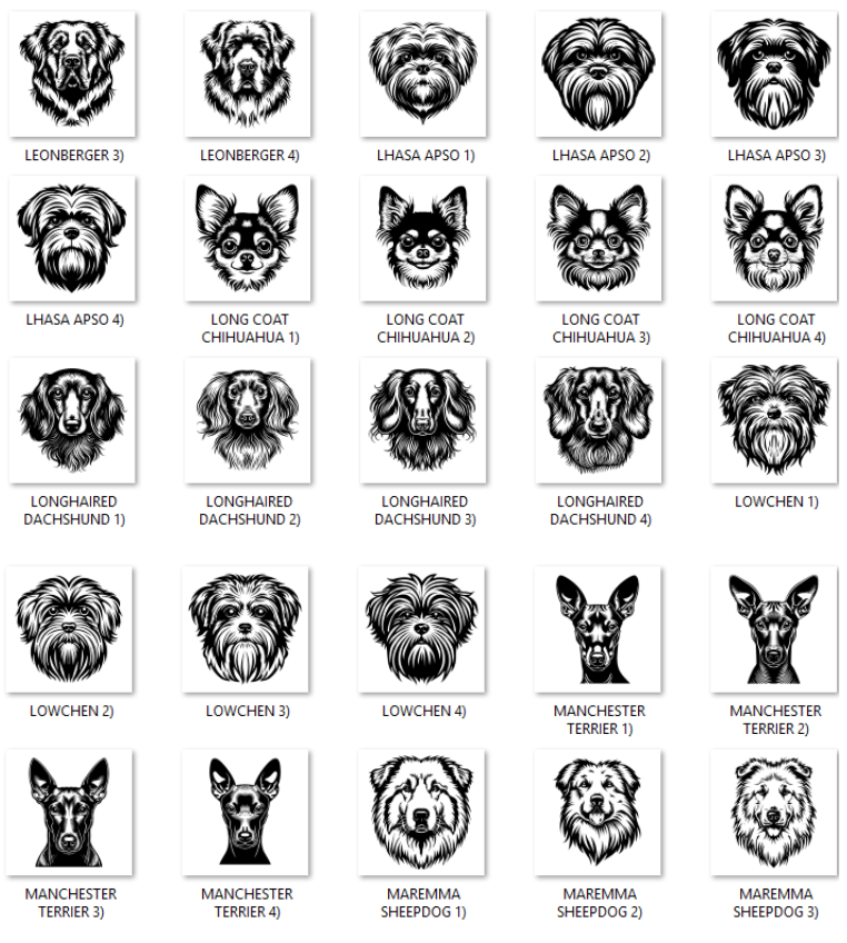 Illustrations of various dog breeds with labels