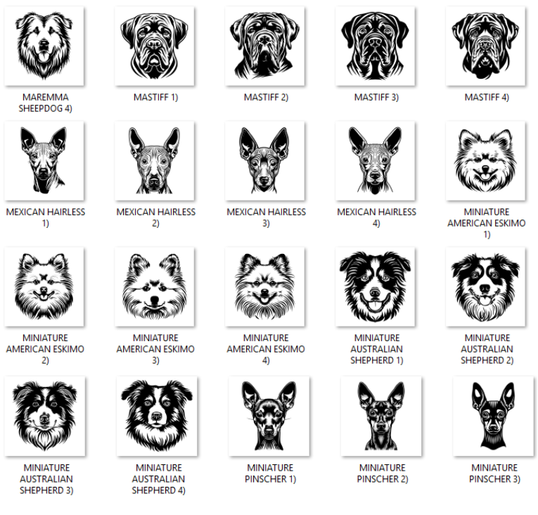 Illustrations of various dog breeds with labels