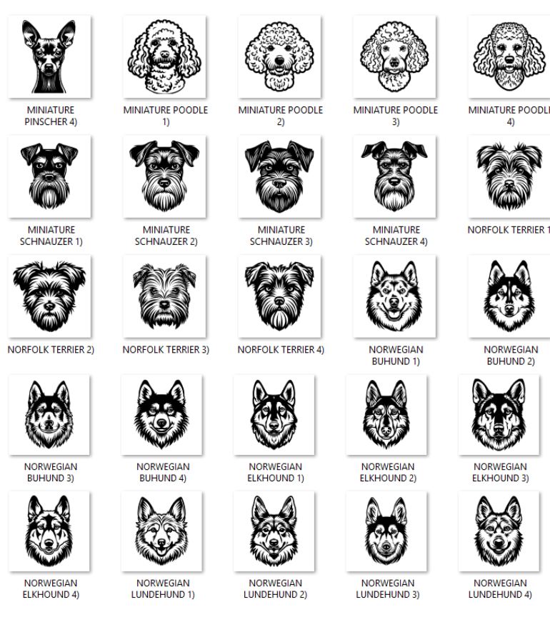 Illustrations of various dog breeds with labels