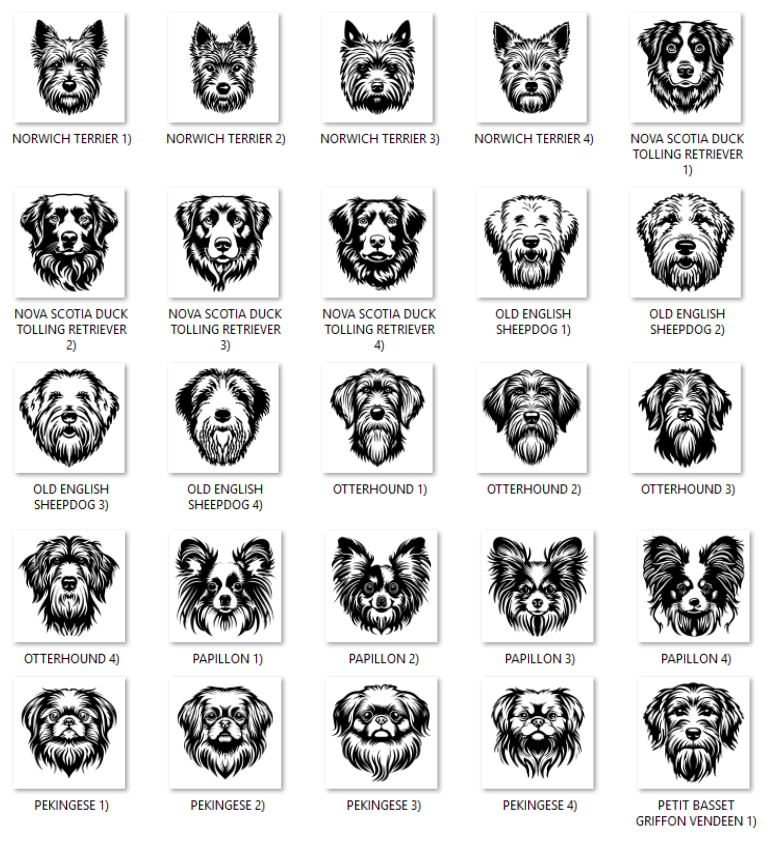 Illustrations of various dog breeds with labels