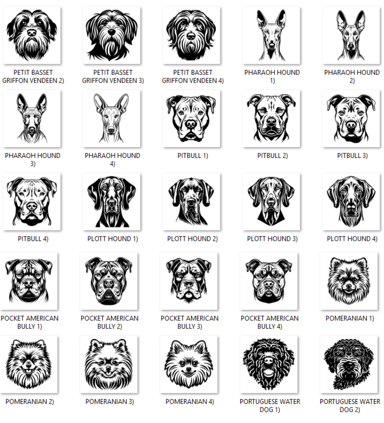Illustrations of various dog breeds with labels