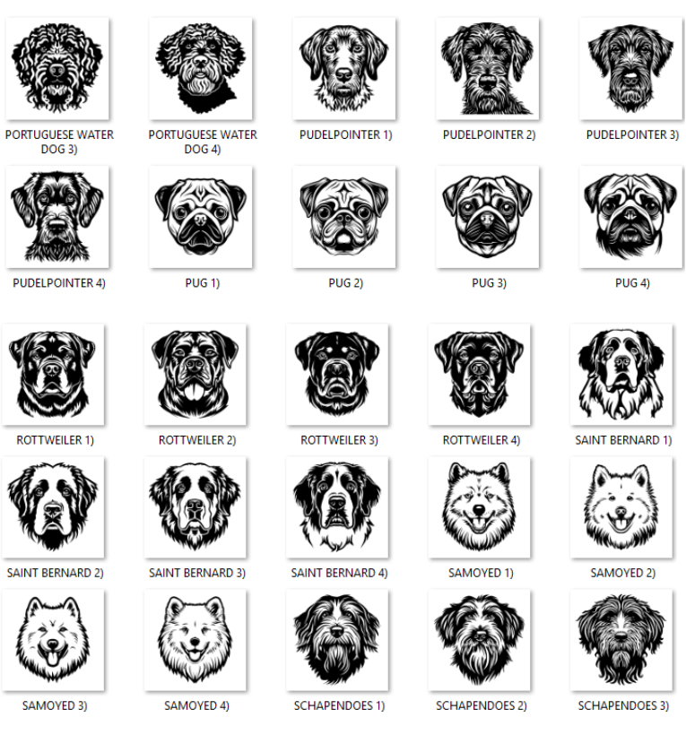 Illustrations of various dog breeds with labels