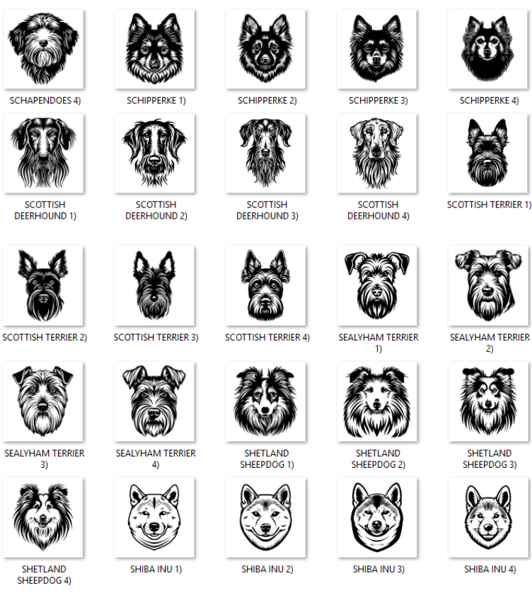 Illustrations of various dog breeds with labels