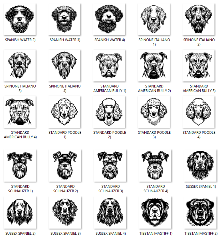 Illustrations of various dog breeds with labels