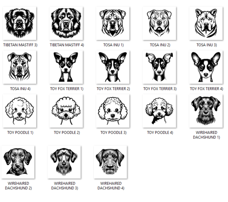 Illustrations of various dog breeds with labels