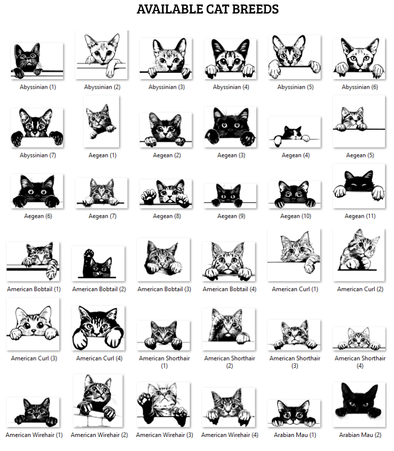 Illustrations of various cat breeds with labels