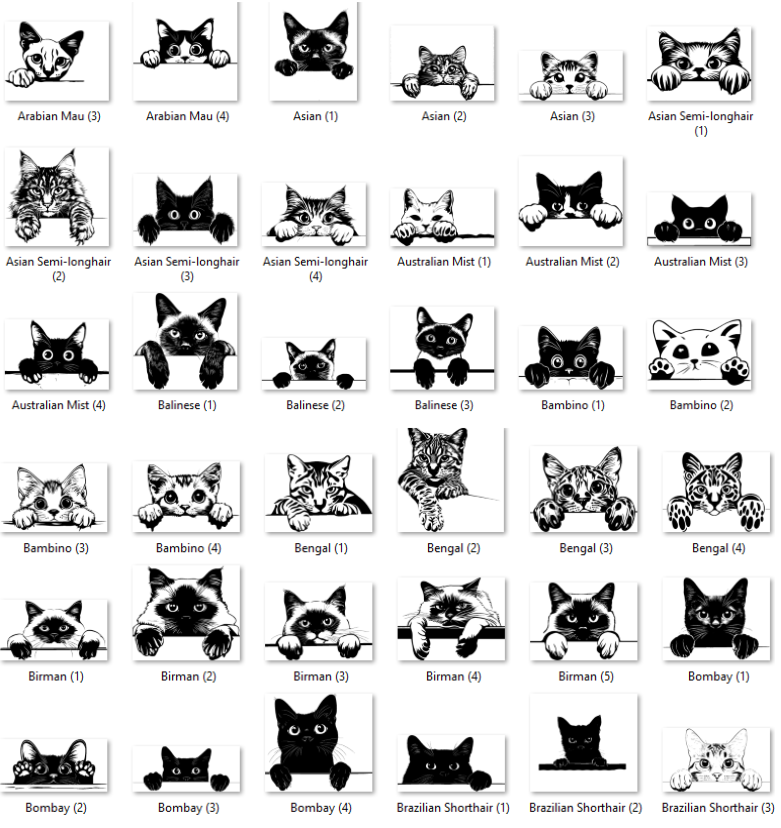 Illustrations of various cat breeds with labels