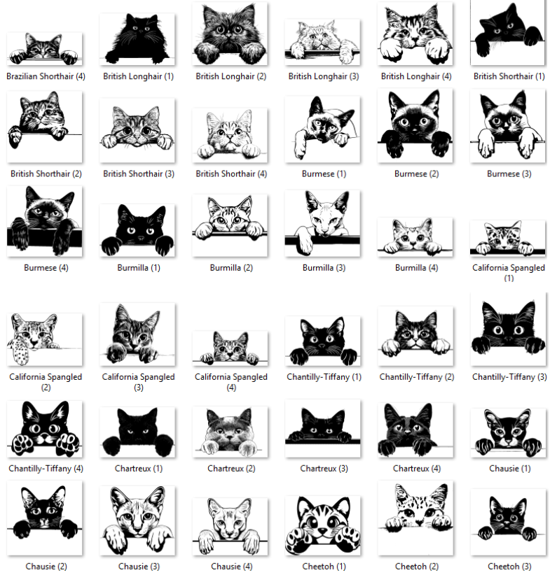 Illustrations of various cat breeds with labels