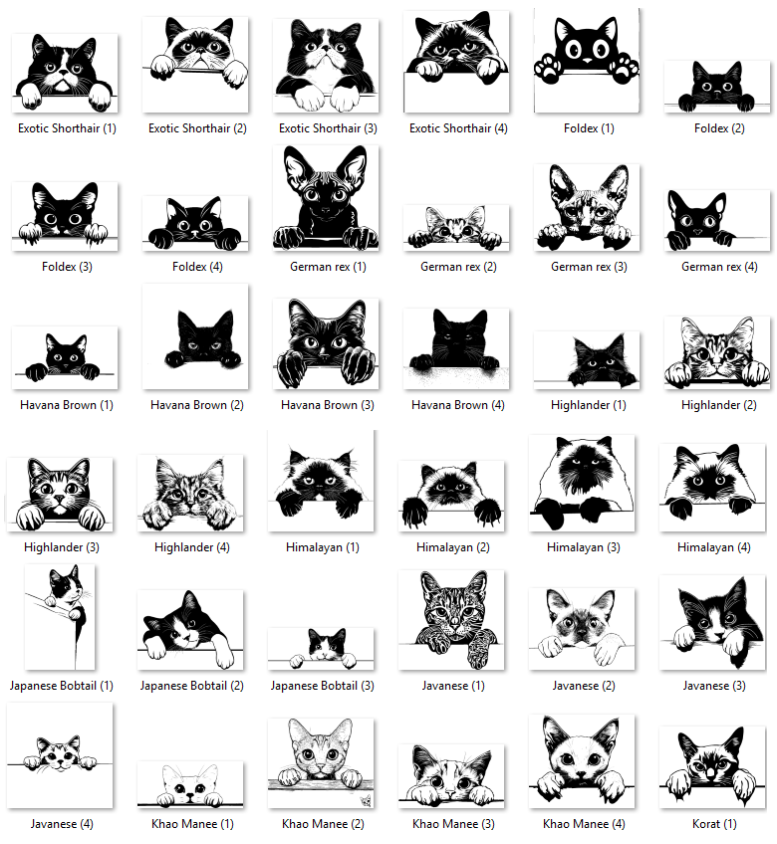 Illustrations of various cat breeds with labels