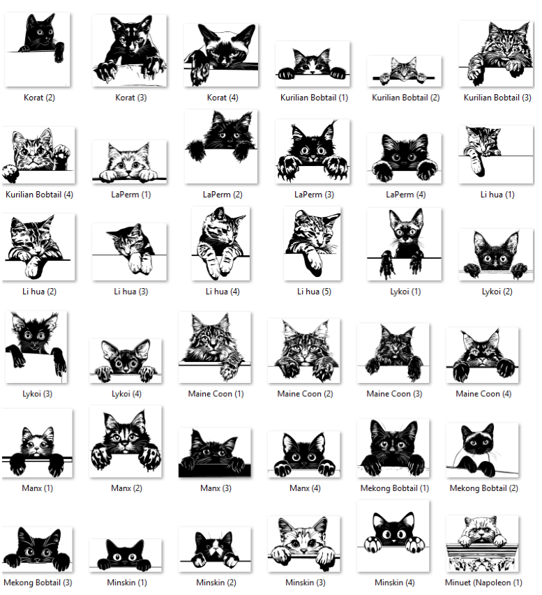 Illustrations of various cat breeds with labels