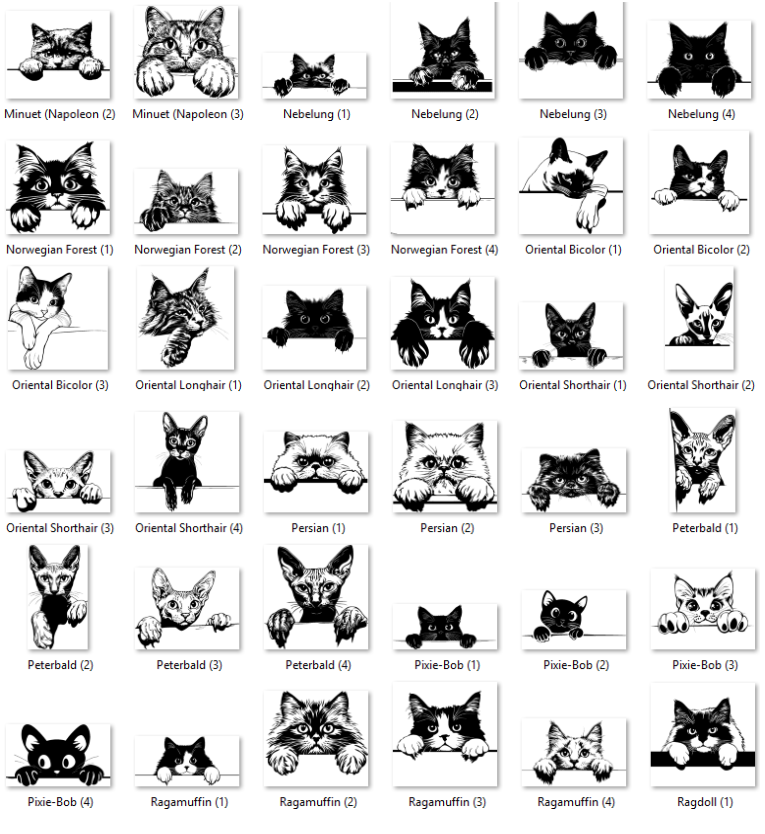 Illustrations of various cat breeds with labels