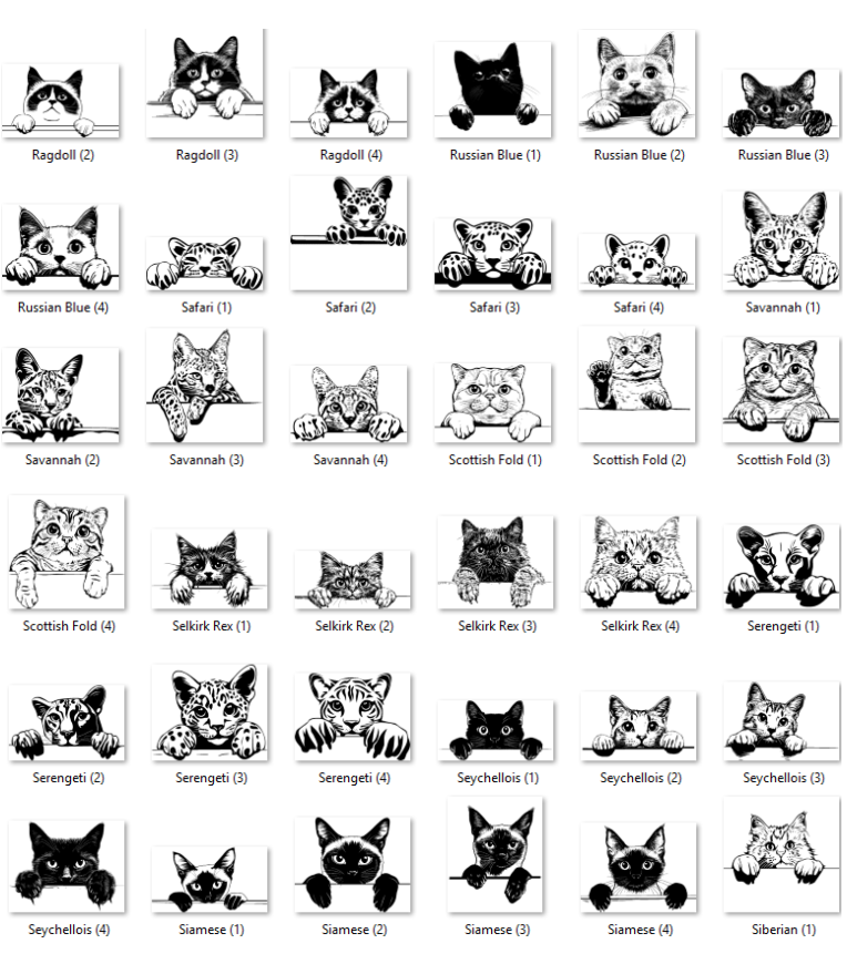 Illustrations of various cat breeds with labels