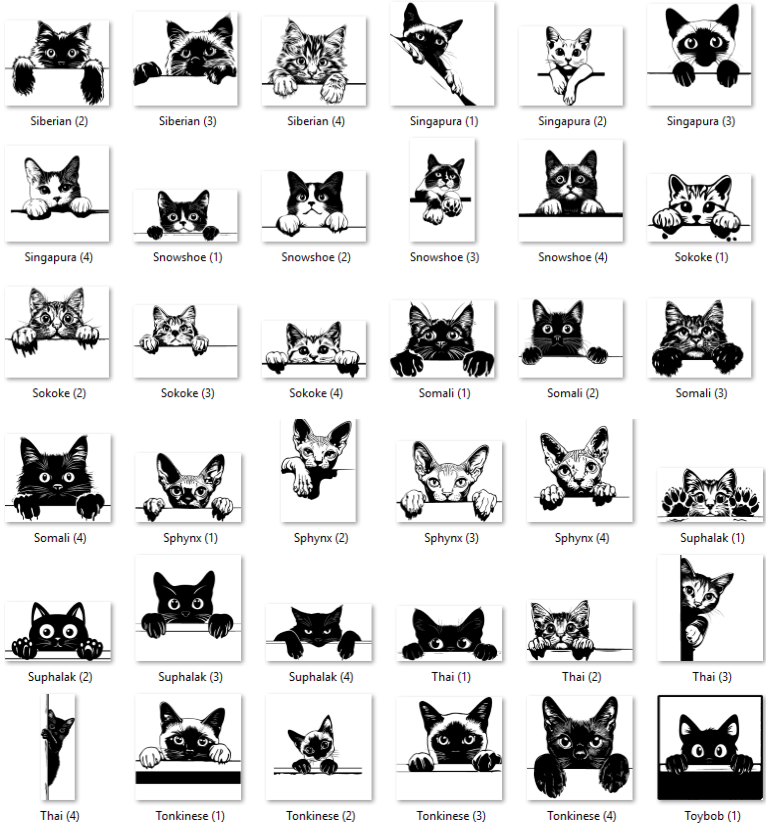 Illustrations of various cat breeds with labels